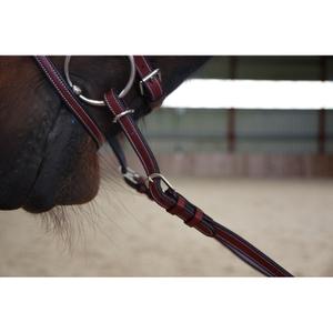 Nastavitelný uzdečkový otěže s madly Flags&Cup image-1