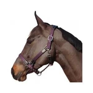 179501-noir-prune-nylon-leder-halfter-flags-cup-schwarz-pflaume