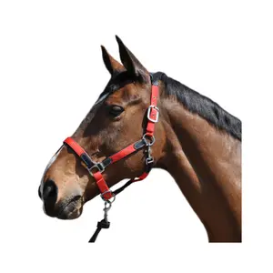 179501-noir-rouge-nylon-leder-halfter-flags-cup-schwarz-rot