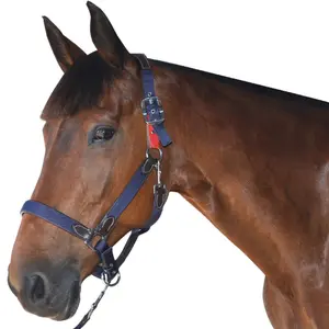 Licol de sécurité Flags&Cup image-0