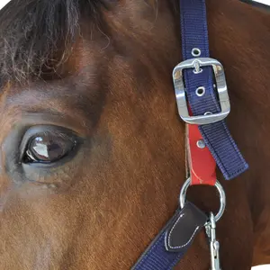 Licol de sécurité Flags&Cup image-1