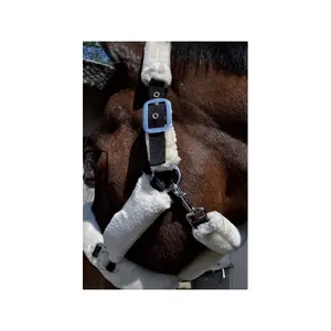 Licol de transport Flags&Cup image-1