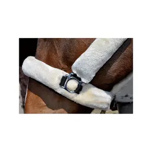 Licol de transport Flags&Cup image-2