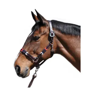 Halter for horse Flags&Cup Chukka image-0