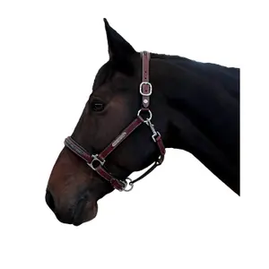 179528-marron-halster-for-hast-flags-cup-aachen-brun