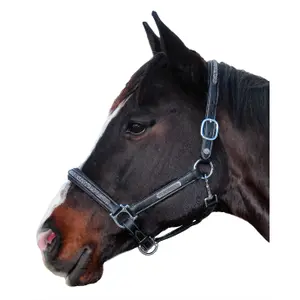 179528-noir-halster-for-hast-flags-cup-aachen-svart