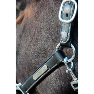 product/f/l/flags-cup_179528-noir_noir_3.jpg