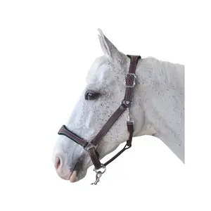 179594-marron-vert-lederhalfter-flags-cup-paris-braun-grun