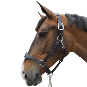 179594-noir-vert-lederhalfter-flags-cup-paris-schwarz-grun