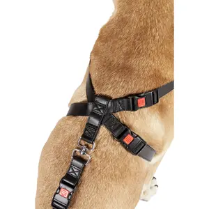 Pasy bezpieczeństwa do samochodu Flamingo Duma image-4