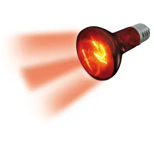 Daylight spotlight Flamingo Beam image-1