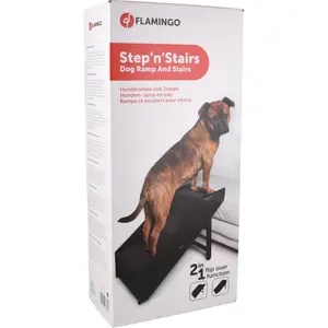 Dog stairs and ramp Flamingo Pino image-3