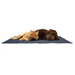 Tapis rectangle pour chien rafraîchissant Flamingo Drop image-2
