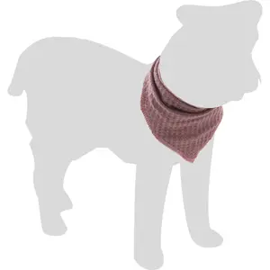 Bandana pour chien Flamingo Iona image-2