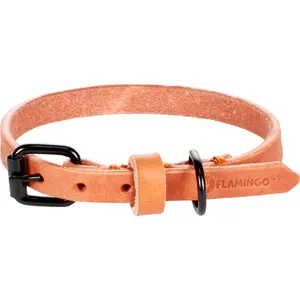 Collar para perro Flamingo Leano image-1