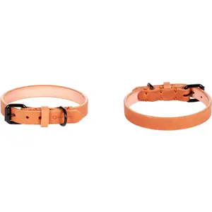 Collar para perro Flamingo Leano image-2