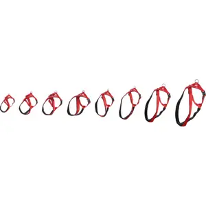 Kutyamenhely Flamingo Cross Abbi image-1