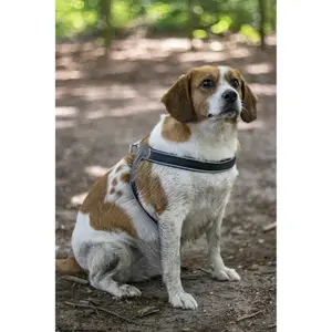 Harnais pour chien Flamingo Easy Hilka image-3