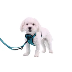 Dog harness Flamingo H Zorba image-3