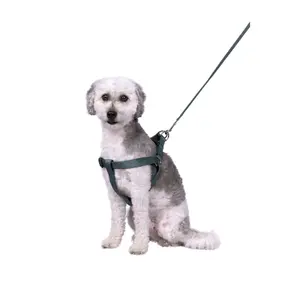 Dog leash Flamingo Ziggi image-1