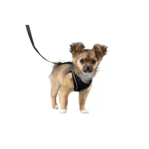 Harnais pour chien Flamingo Step&Go Bento image-3