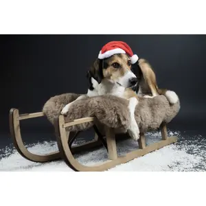 Dog hat Flamingo Ponne image-2