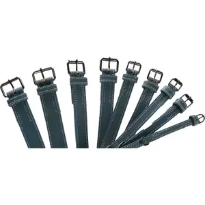 Dog collar Flamingo Denver image-3