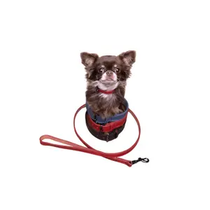 Dog collar Flamingo Denver image-4