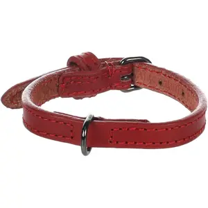 Dog collar Flamingo Denver image-0