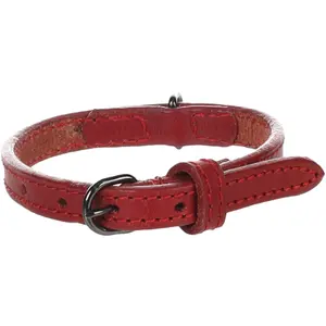 Dog collar Flamingo Denver image-1