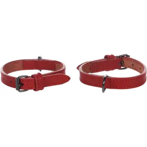 Dog collar Flamingo Denver image-2