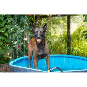 Piscina redonda para cão Flamingo Sprinkle image-5