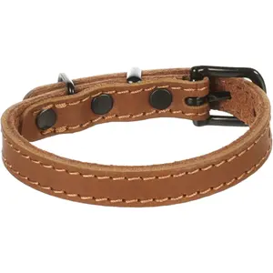 523280-hundhalsband-flamingo-montana-konjak