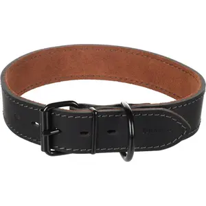 Dog collar Flamingo Montana image-1