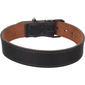 Dog collar Flamingo Montana image-2