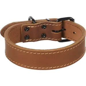 Dog collar Flamingo Montana image-0