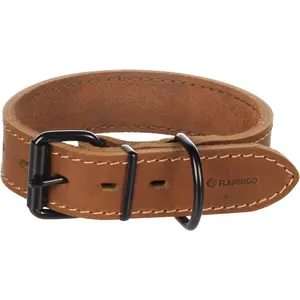 Dog collar Flamingo Montana image-1