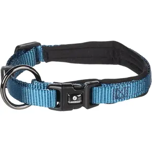 Dog collar Flamingo Abbi image-1