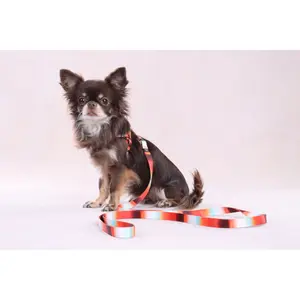 Dog harness Flamingo Step&Go Naja image-2