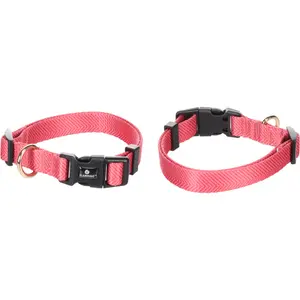 Dog collar Flamingo Noekie image-0