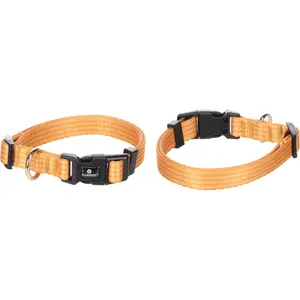 Dog collar Flamingo Noekie image-0