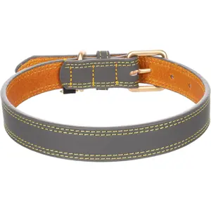 Collier pour chien Flamingo Virginia image-2