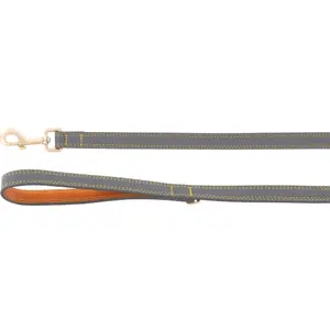 Laisse pour chien Flamingo Virginia image-0