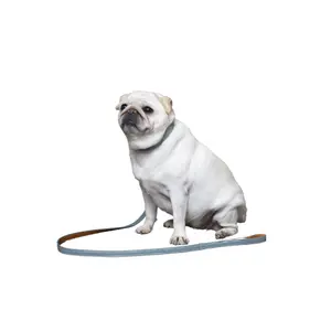 Collier pour chien Flamingo Virginia image-4