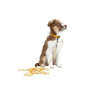 Dog collar Flamingo Dolly image-3