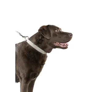 Hundehalsband Flamingo Lago image-3