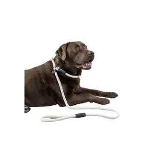 Anti-Zieh-Hundeleine Flamingo Lago image-1