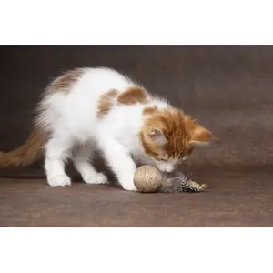 Cat ball ball and fish Flamingo Yutsa image-1