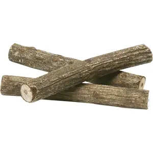 Chewing wood Flamingo image-0