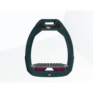 Ασφαλή σέλα ιππασίας Endurance Πράσινο/Γκρι/Μωβ Flex-On Safe-On image-0